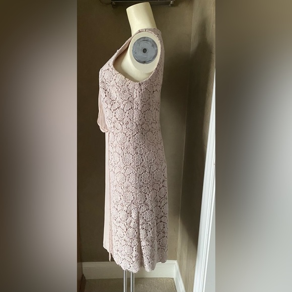 Ann Taylor Beige Knee Length Dress Lace With Partial Sheer Panel Women's Size 10 - Picture 3 of 14